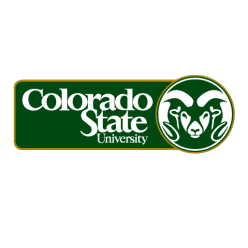 Colorado State University